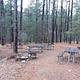 Turney Gulch Group Campsite with multiple picnic tables and a fire pit