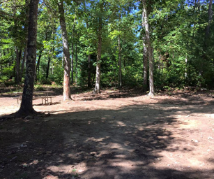 Wilderness Lake Campground & Resort