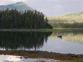 Anderson Cove Campground