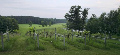 Ponds and Pines RV Park