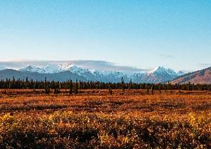 Kenai