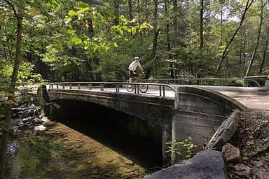NORTH MILLS RIVER