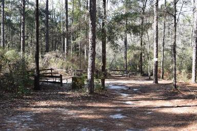 Campground image 2