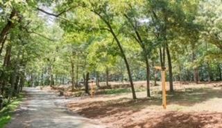 Campspot slideshow image 3