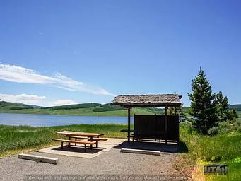 Strawberry Long Term