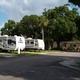 Clear ground-level view of multiple RVs on paved sites with landscaping and a large oak — shows campsite layout and typical RV pitches on the property; image is hosted on the park's homepage.