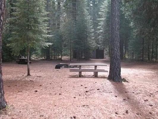 Camp 4 Group, Loop: CAMP 4 GROUP CAMPGROUND