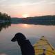 Photograph from a kayak showing the water, shoreline and sunset with a dog in the bow — strong scenic image illustrating on-site boating and lake recreation (comes from homepage/gallery content).