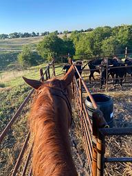 Singing Mesa Ranch