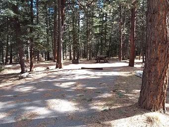 Site 6 