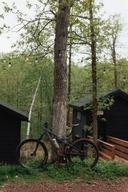 Cuyuna Cove