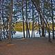 Campground image 4