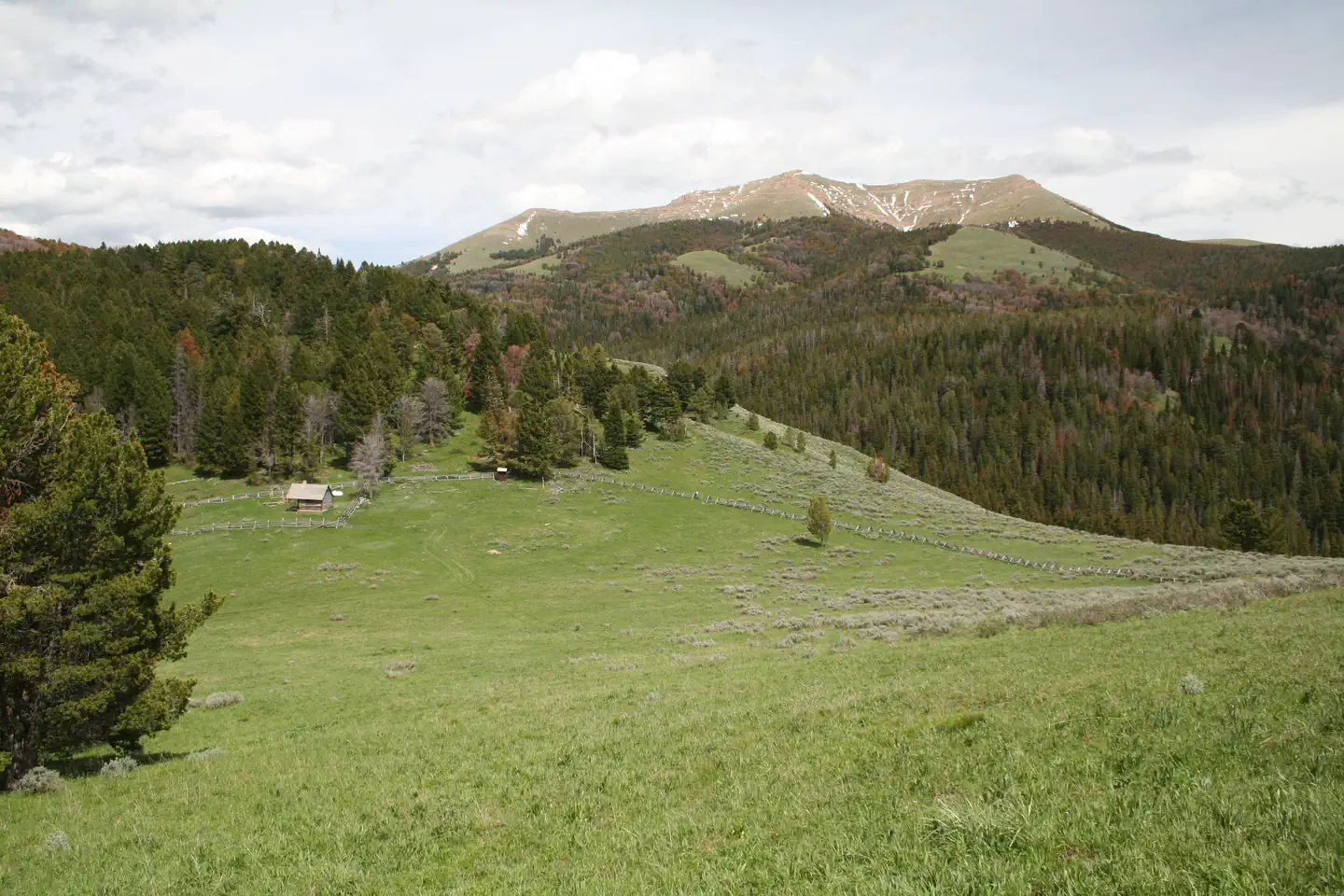 Antone Cabin