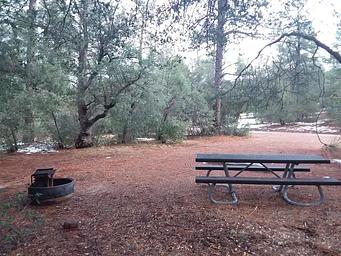 Timber Camp Recreation Area and Group Campgrounds