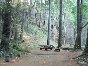 Bogus Creek Campground