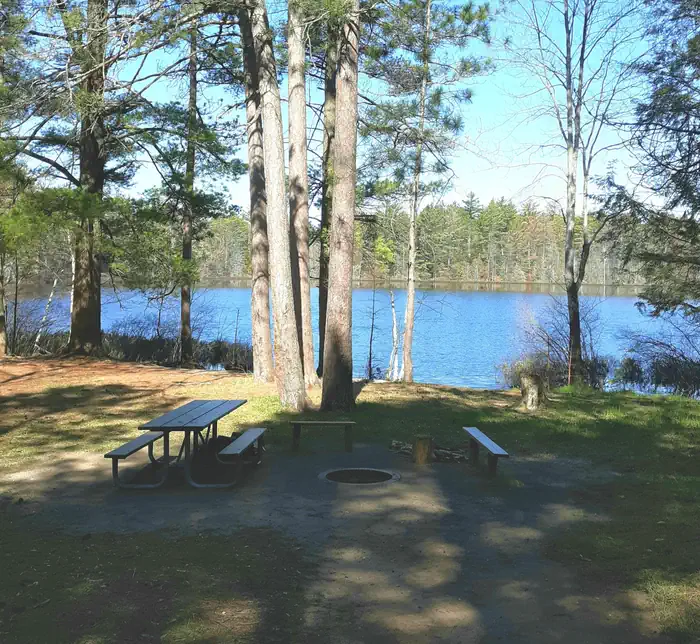 Tom's Lake Cabin