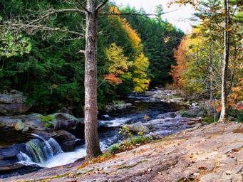 Crows Nest Campground