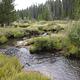 Creek near Doyle Creek Campground
