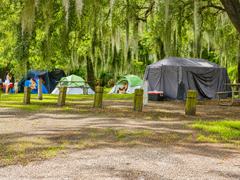Tent camping area beneath moss-draped trees with visible sites and picnic tables — illustrates the park’s tent camping spaces and shaded setting (hosted on the park’s homepage).