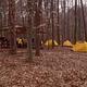 Multiple yellow tents clustered in a campsite among fallen leaves in a winter forest
