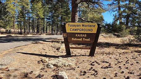 Tusayan - Montane