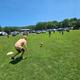 June at Camp Bell: Outdoor Adventures & Camper Celebration Weekends