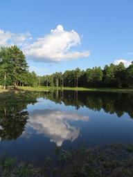 MAGNOLIA SPRINGS RV PARK