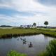 Waterway RV Campground