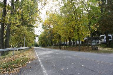 Road-side view showing a tree-lined roadway with RVs/campsites along it — provides an overview of campground roads and site arrangement from the Campsite background imagery.