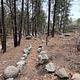 Wild Cow Springs Campground trail