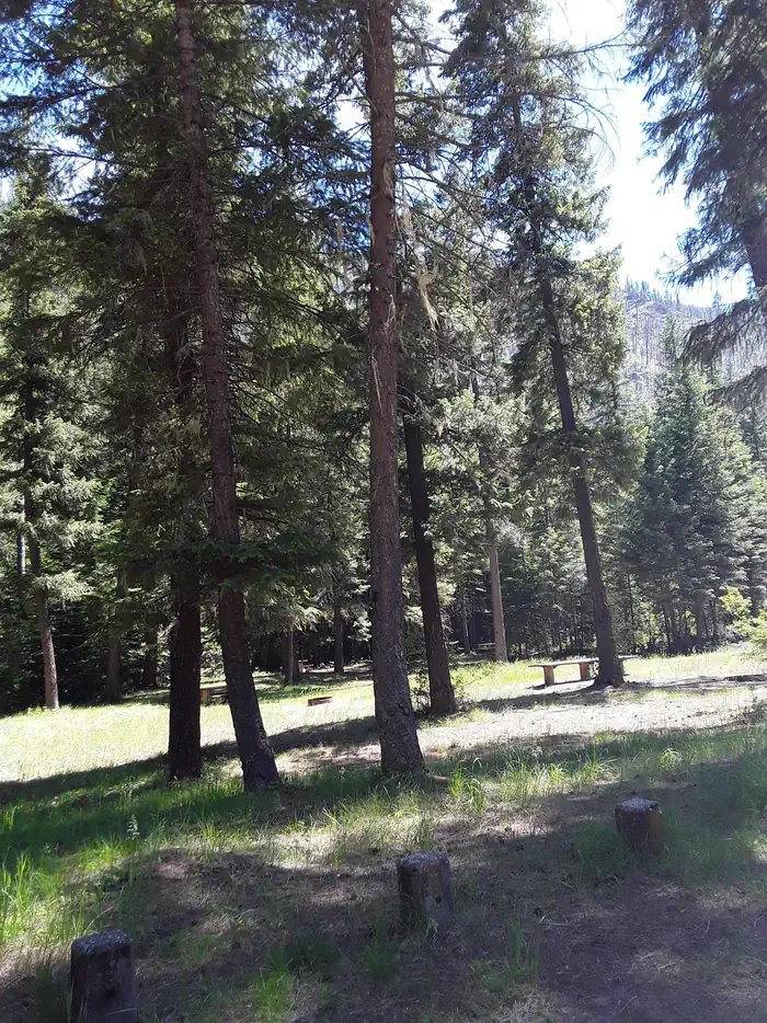 Trout Creek Campground (MT)
