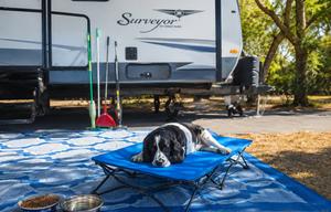 Surveyor 247BH Dog Friendly + Bunkhouse + Island