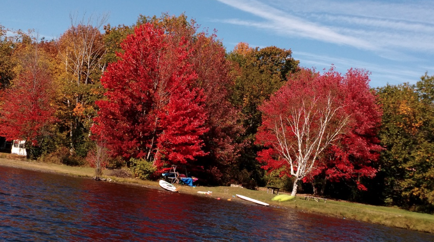 Mascoma Lake Campground