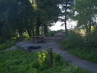 Partly shaded areas provide camping with picnic table, fire pit and tent pads for your stay.