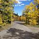 Willow Campground fall colors near site 4