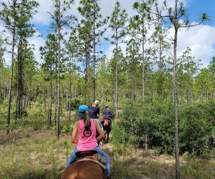 Black Horse Resort Ranch