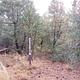 Lynx Campground Loop F Trail Head