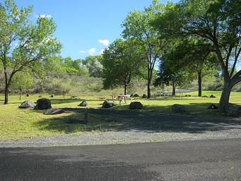 Spring Canyon Campground. Trees in the background.