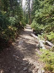 GS1, Loop: SOUTH FORK GROUP