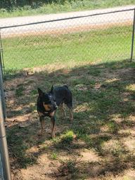 Meadows RV Park