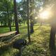 Campground image 2