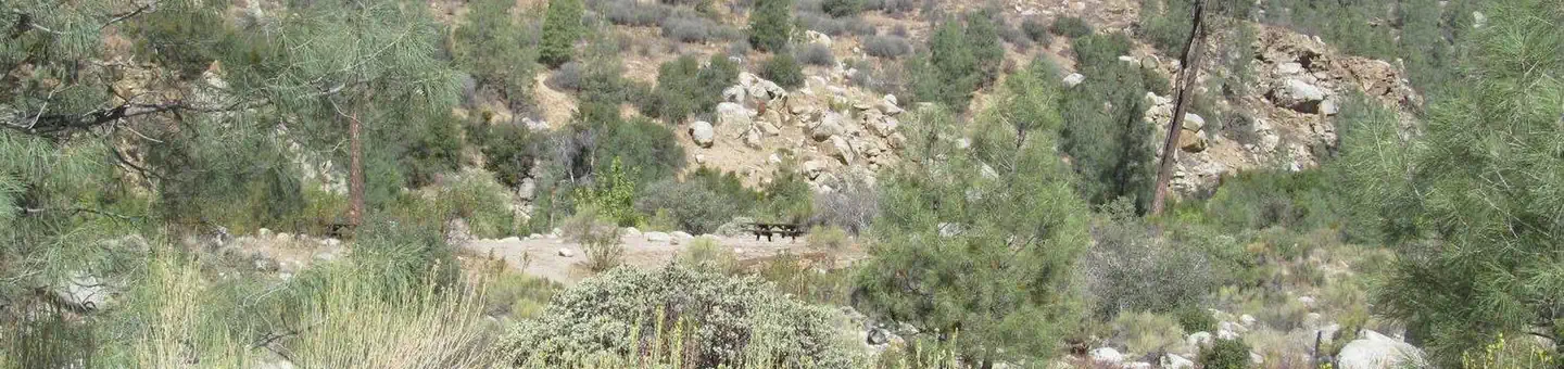 Goldledge Campground