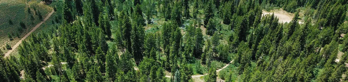 Pine Valley North Wasatch Cach