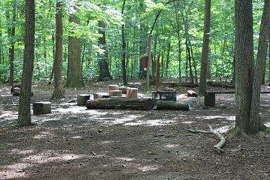 Campsite around fire pit with large tree stumps