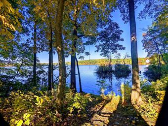 Lake Williams Campground Association