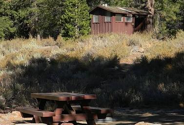 Picnic table in the shade within Lower Little Truckee Campground