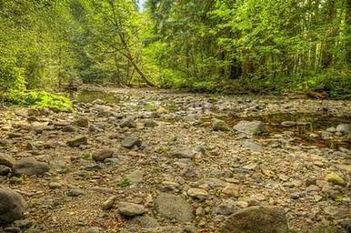 Paradise Creek campground