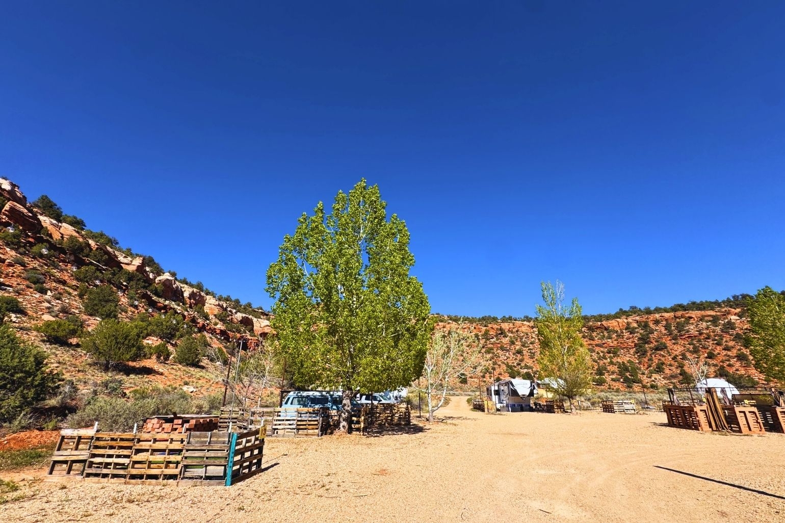 Desert Bloom Campground