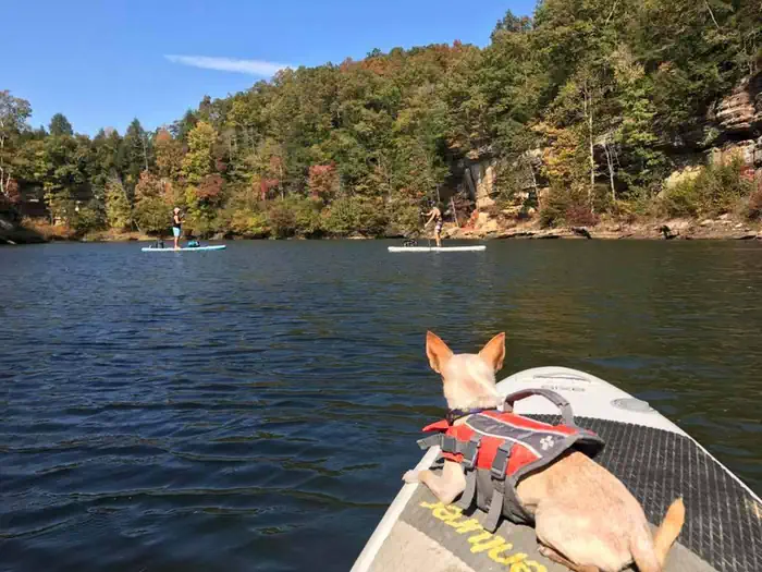 Grayson Lake Damsite Shelters