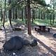Panguitch Lake North campsite 36